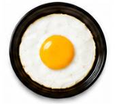 Egg